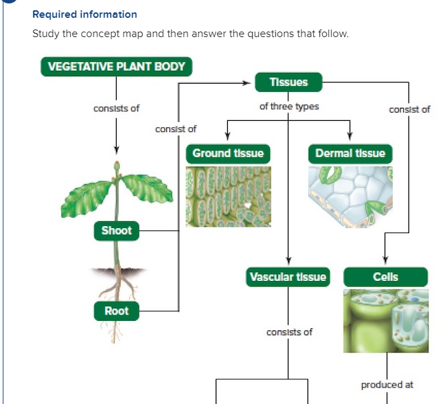 Solved Required information Study the concept map and then