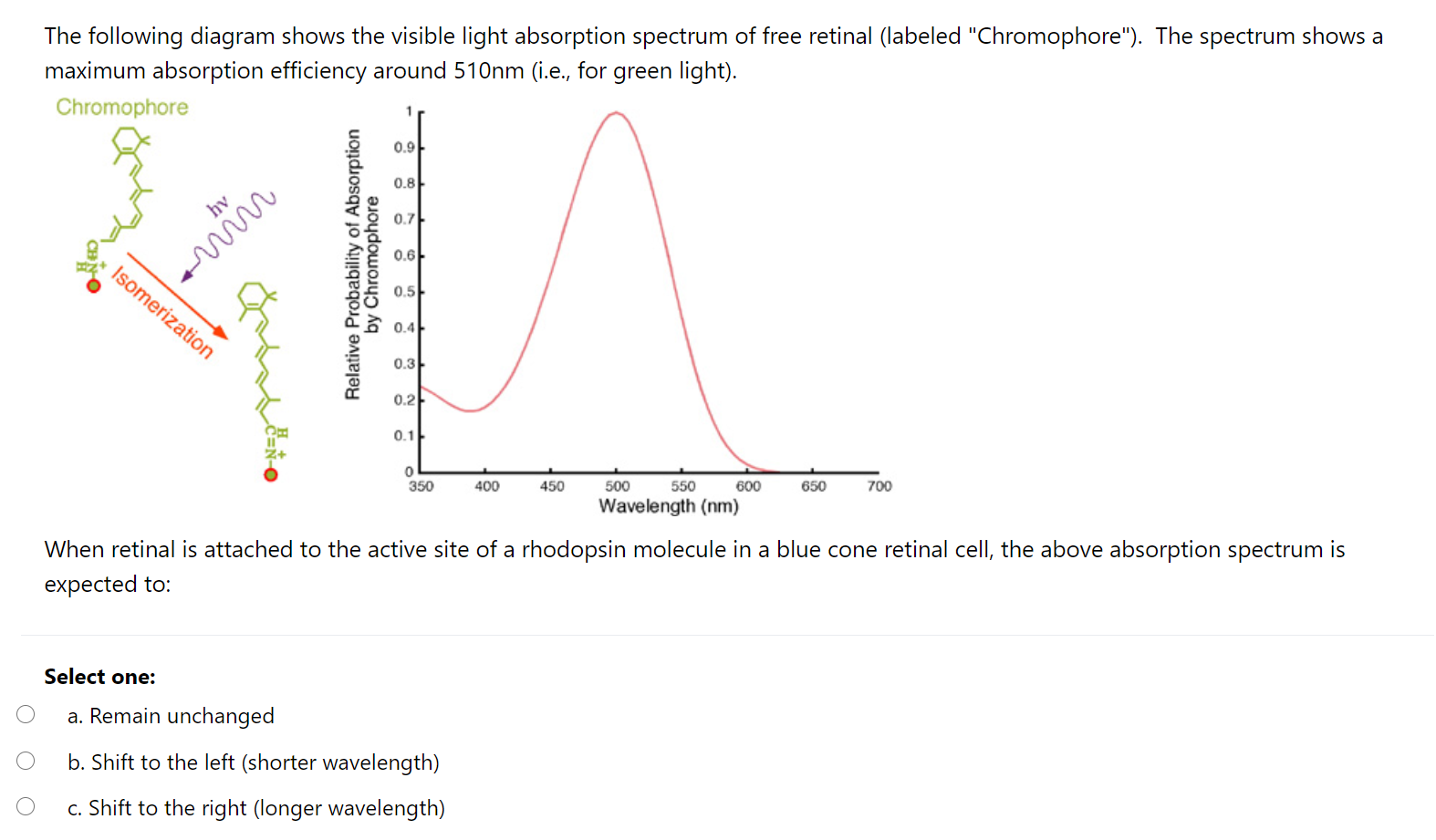 Visible deals light absorption