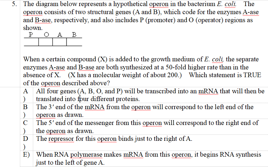 Solved 5. The diagram below represents a hypothetical operon | Chegg.com