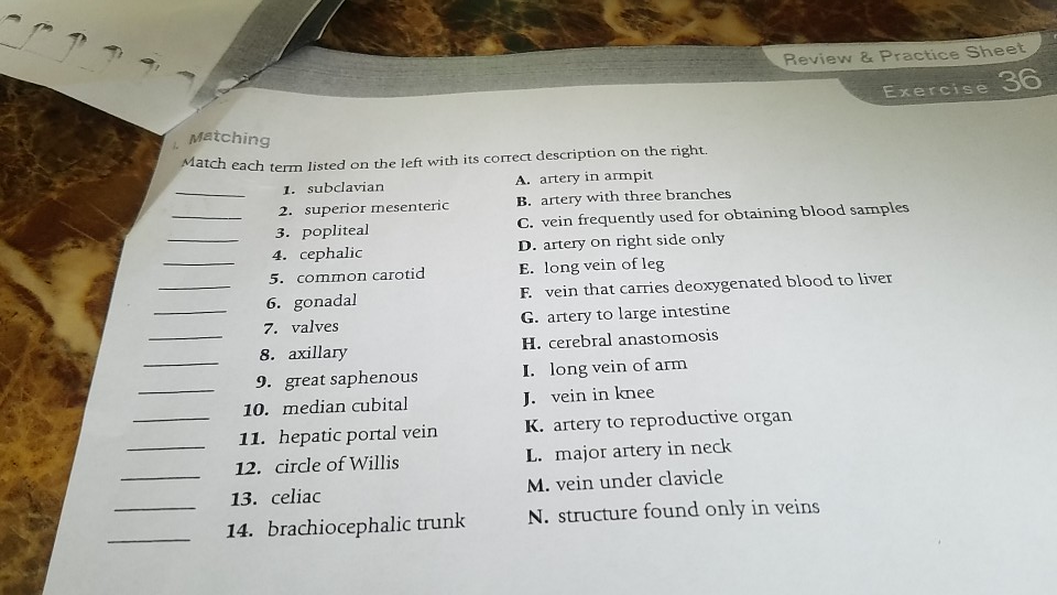 Solved Review & Practice Sheet Exercise Metchingg atch each | Chegg.com