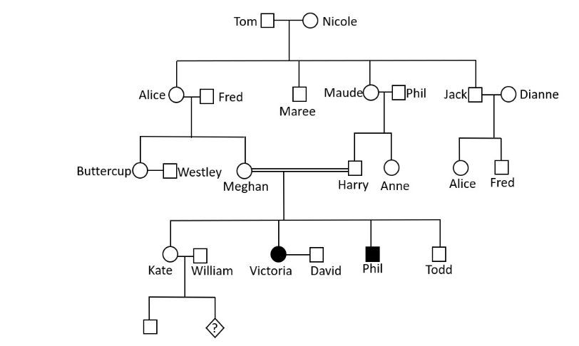 Solved What is the probability that Meghan and Harry will | Chegg.com