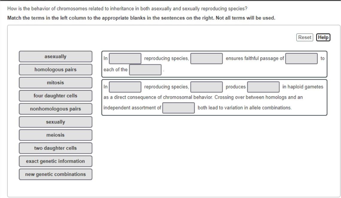 Solved How is the behavior of chromosomes related to | Chegg.com