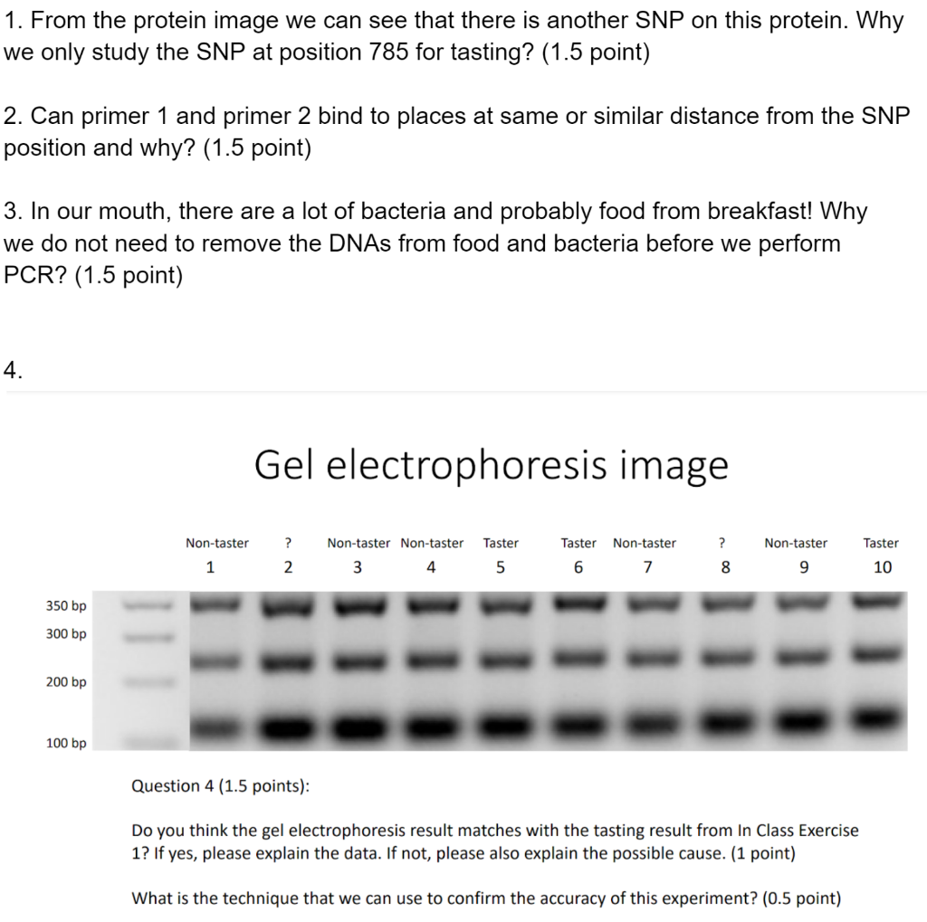 Solved PCR with two universal primers and two primers with | Chegg.com