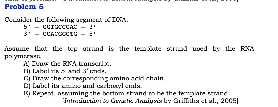 Solved Problem 5 Consider the following segment of DNA: 5' - | Chegg.com