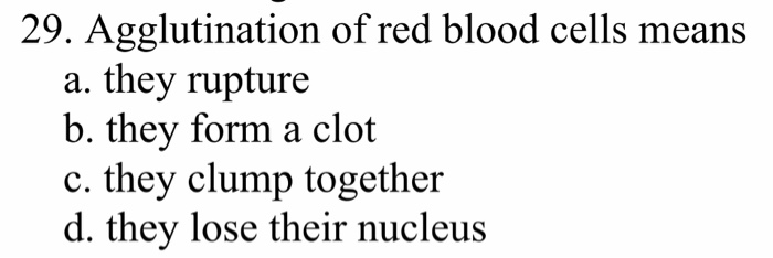 Solved 29. Agglutination of red blood cells means a. they | Chegg.com