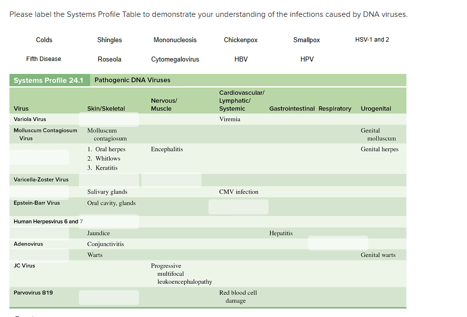 Solved Please Label The Systems Profile Table To Demonstrate | Chegg.com