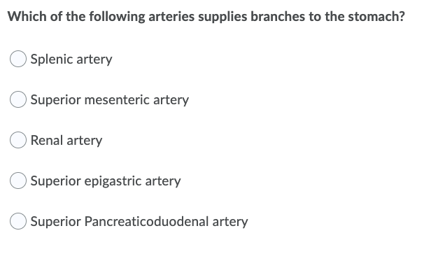 Solved Which of the following arteries supplies branches to | Chegg.com