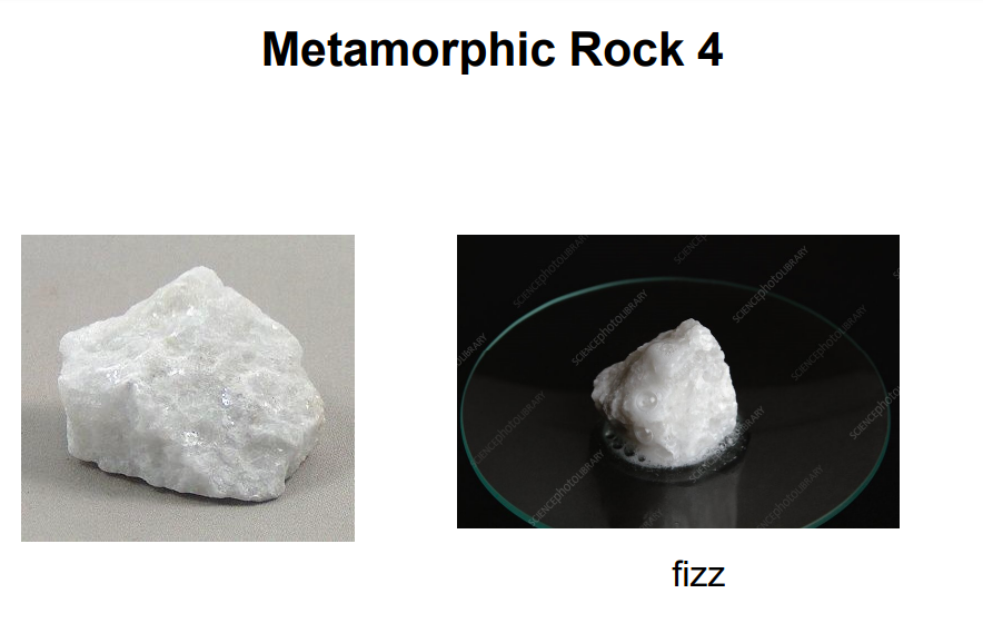 Metamorphic Rock 4
LIBRARY
SCIENCEphotoLIBRAR
SCIENCE
SCIENCEphotoLIBRARY
COBRARY
CEphotoUBRARY
CIENCEphotoLIBRARY
SCIENCEpho