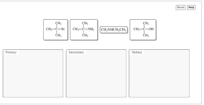 Solved CH3NHCH2CH3 Tertiary | Chegg.com