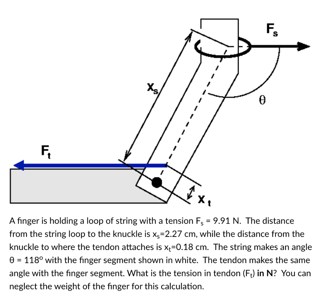 Solved F Xg F, A finger is holding a loop of string with a | Chegg.com