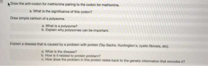 Solved Draw the anti-codon for methionine pairing to the | Chegg.com