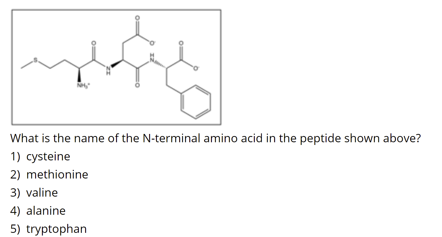 Solved NH What is the name of the N-terminal amino acid in | Chegg.com
