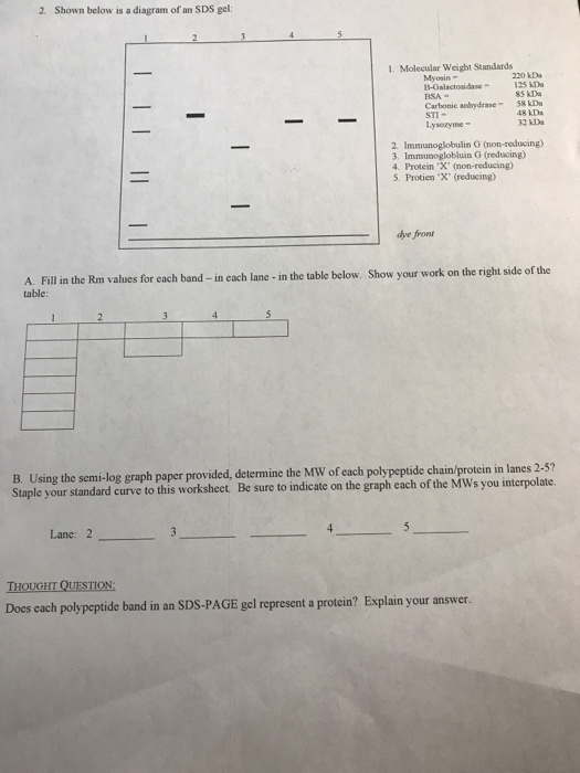 Solved 1. You Have Been Given A Protein Sample With An | Chegg.com