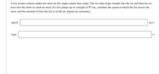 A FOX LOCATES RODENTS UNDER THE SNOW visual data 2
