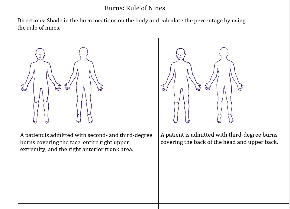 Solved Burns: Rule Of Nines Directions: Shade In The Burn | Chegg.com