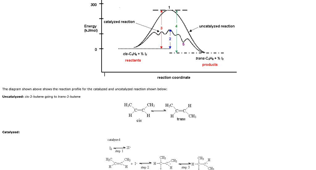 Solved 300+ catalyzed reaction Energy (kJ/mol) uncatalyzed