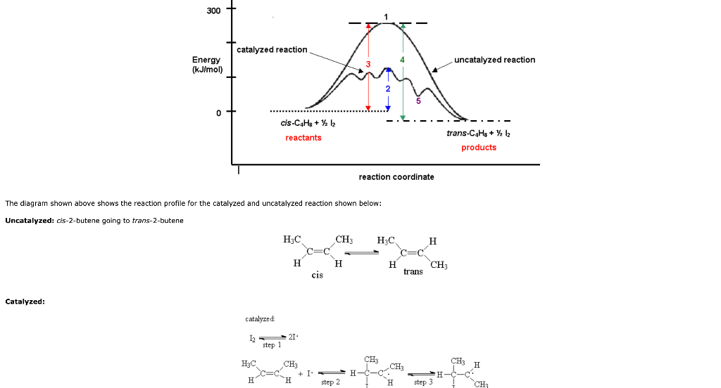 Solved 300+ catalyzed reaction Energy (kJ/mol) uncatalyzed | Chegg.com