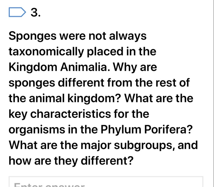 Solved 3 Sponges were not always taxonomically placed in the