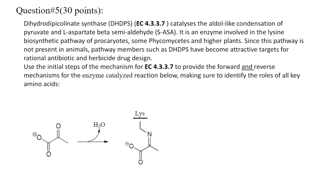 Solved Question\5(30 points) Dihydrodipicolinate synthase