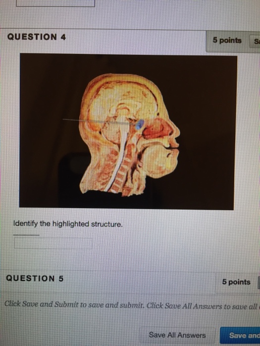 Solved QUESTION 4 5 points Sa Identify the highlighted | Chegg.com