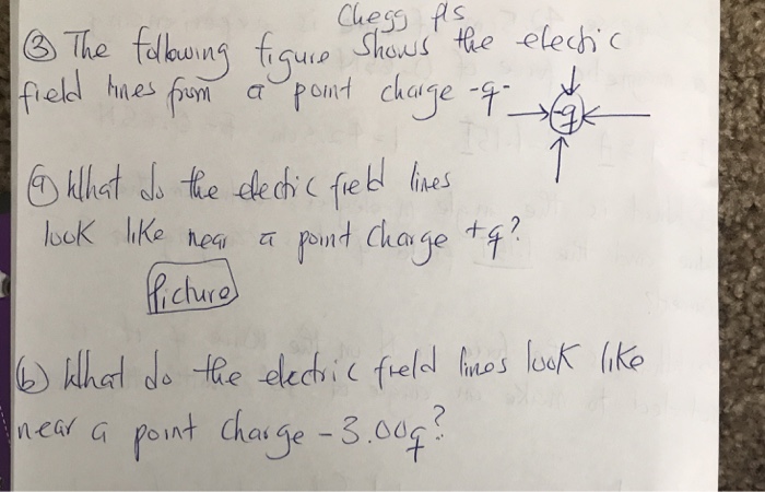 Solved The following figure shows the electric field lines | Chegg.com