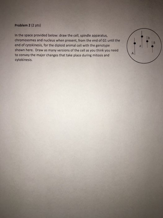 Solved Problem 2 (2 pts) In the space provided below: draw | Chegg.com