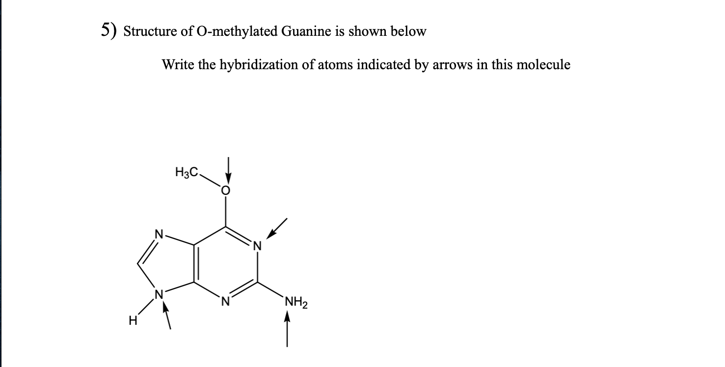 Solved 5) Structure of O-methylated Guanine is shown below | Chegg.com