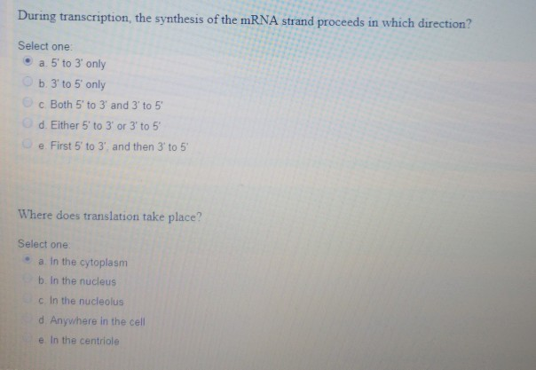 Solved During transcription, the synthesis of the mRNA | Chegg.com