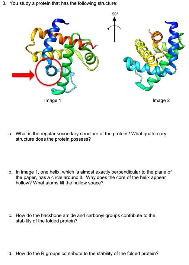 Solved 3. You study a protein that has the following | Chegg.com