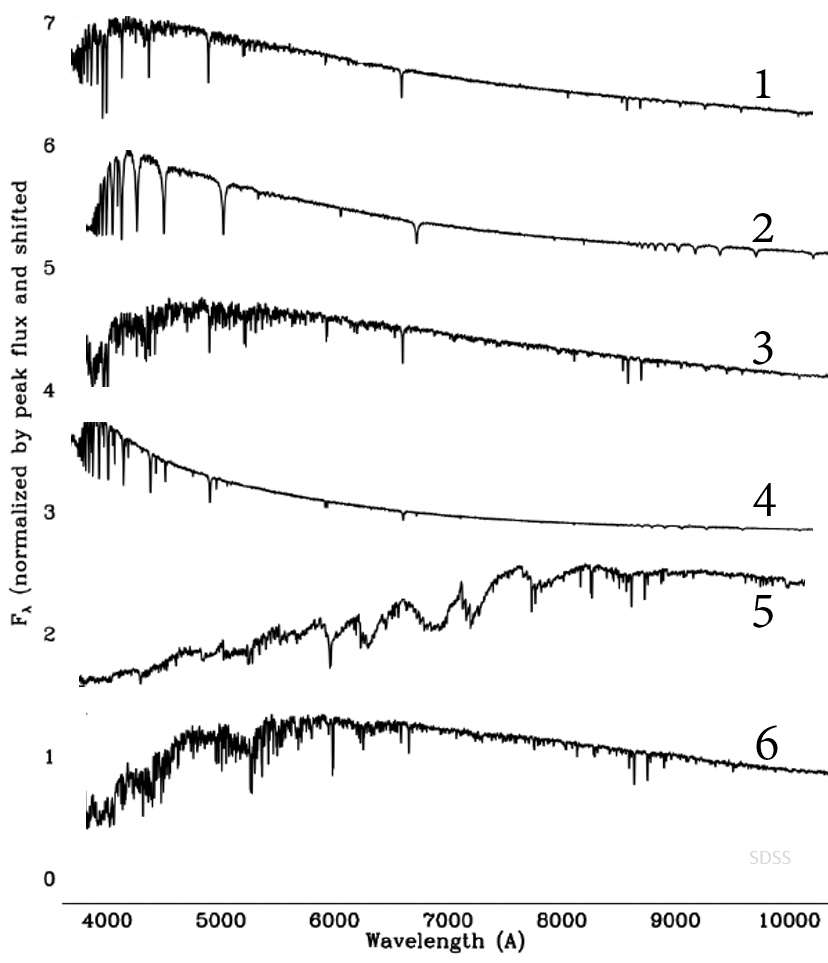 Solved Place the stars corresponding to the spectra 1 | Chegg.com