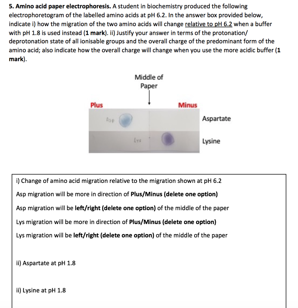 Solved 5. Amino acid paper electrophoresis. A student in