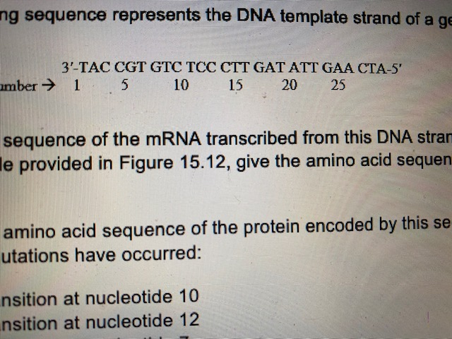 Solved ng sequence represents the DNA template strand of a | Chegg.com