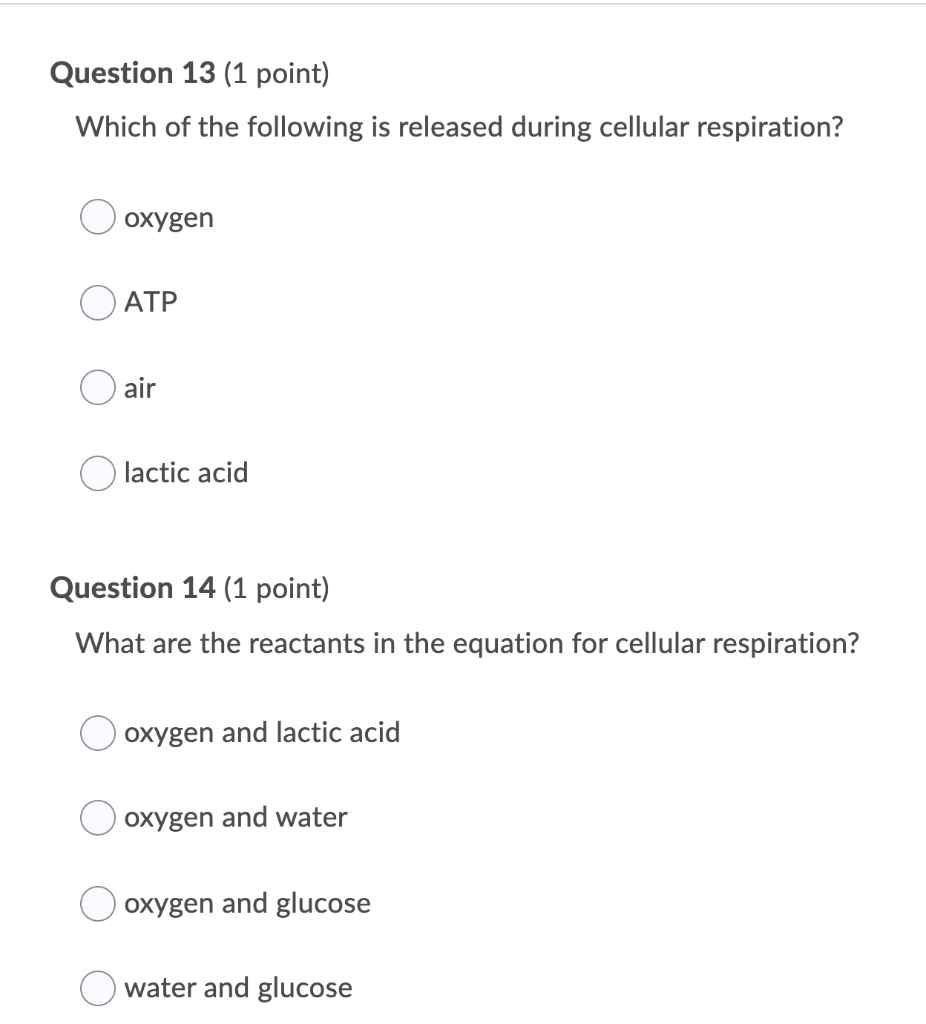 which of the following is released during cellular respiration