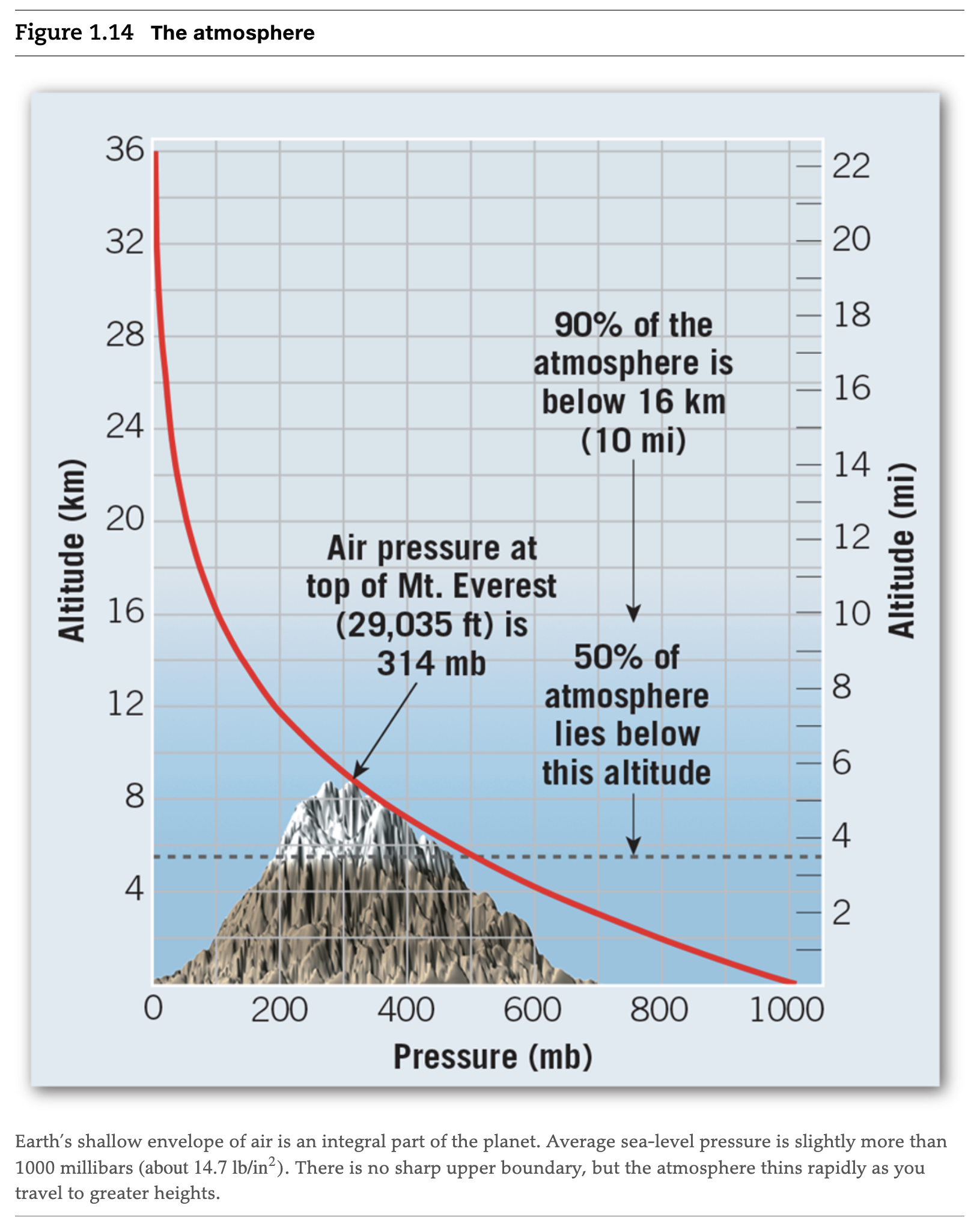 Solved Refer to the graph above to answer the following | Chegg.com