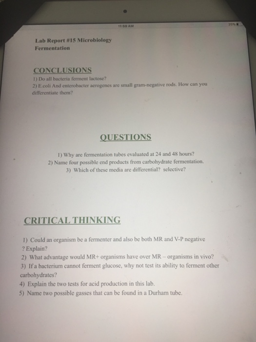 Solved Lab Report 15 Microbiology Fermentation CONCLUSIONS