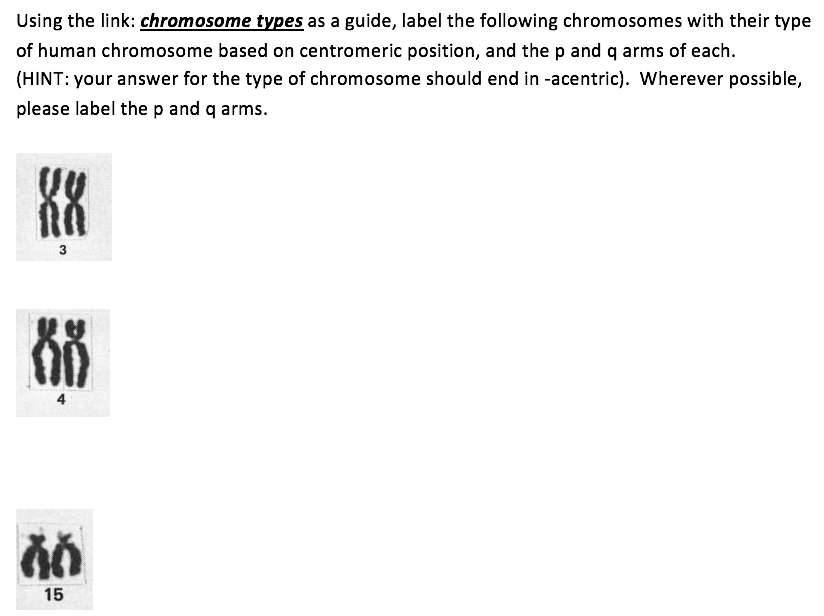 Using the link: chromosome types as a guide, label the following chromosomes with their type
of human chromosome based on cen