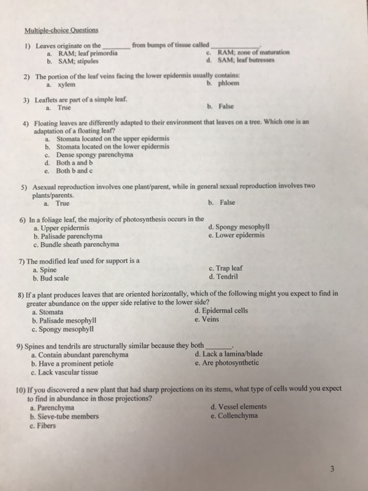 Solved: Multiple-choice Questions 1) Leaves Originate On T... | Chegg.com