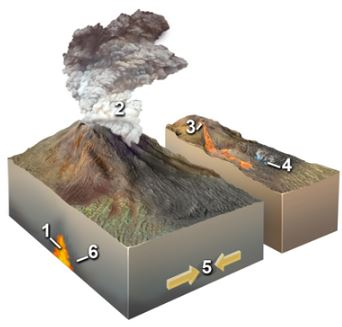 Solved Which of the following locations in the diagram above | Chegg.com