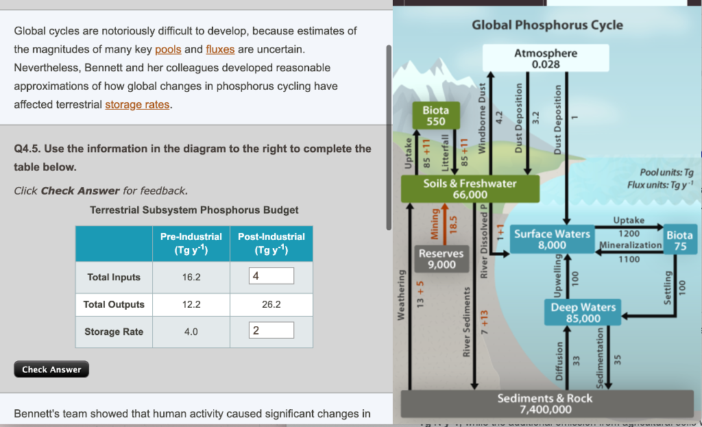 Global Phosphorus Cycle Global cycles are notoriously | Chegg.com