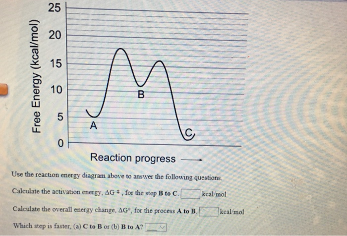 Solved 25 E 20 3 15 10 5 Reaction progress Use the reaction | Chegg.com
