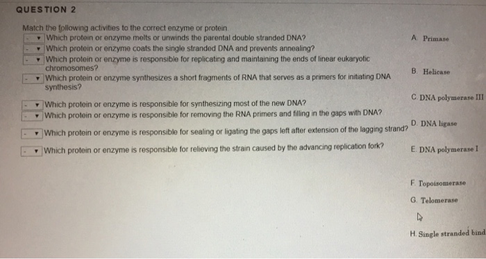 Solved QUESTION 2 Match the following activities to the | Chegg.com