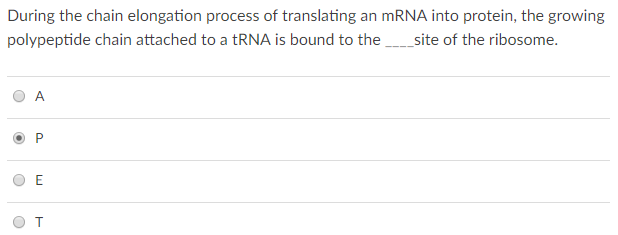 Solved A mutation in the tRNA for the amino acid lysine | Chegg.com