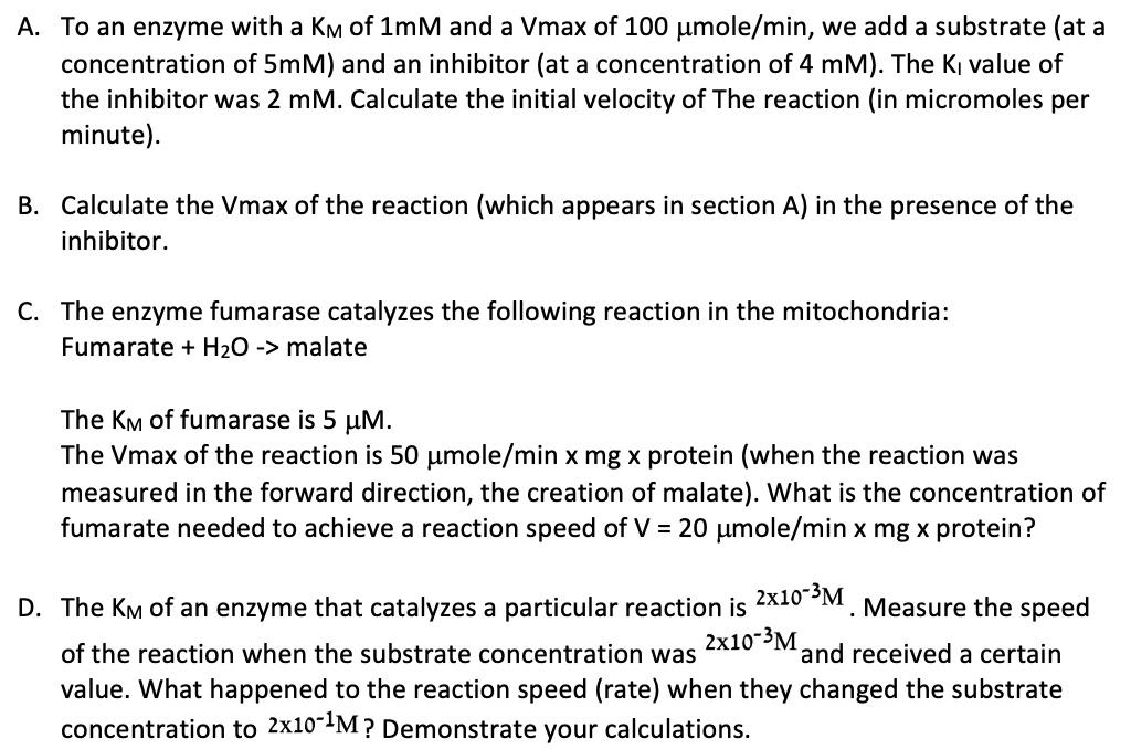 Solved A. To an enzyme with a KM of 1mM and a Vmax of 100μ | Chegg.com