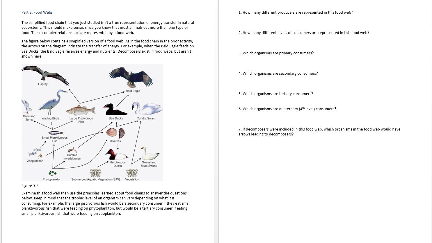 snc1d food web assignment