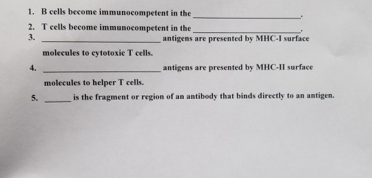 Solved 1. B cells become immunocompetent in the 2. T cells | Chegg.com