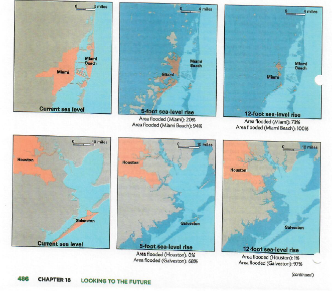 Check out sea level rise scenarios for San Diego with mapping tool