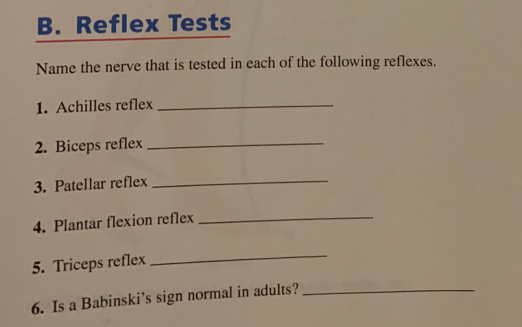 Solved B. Reflex Tests Name The Nerve That Is Tested In Each | Chegg.com