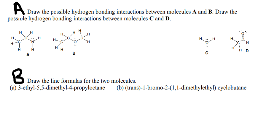 Solved A Draw The Possible Hydrogen Bonding Interactions | Chegg.com