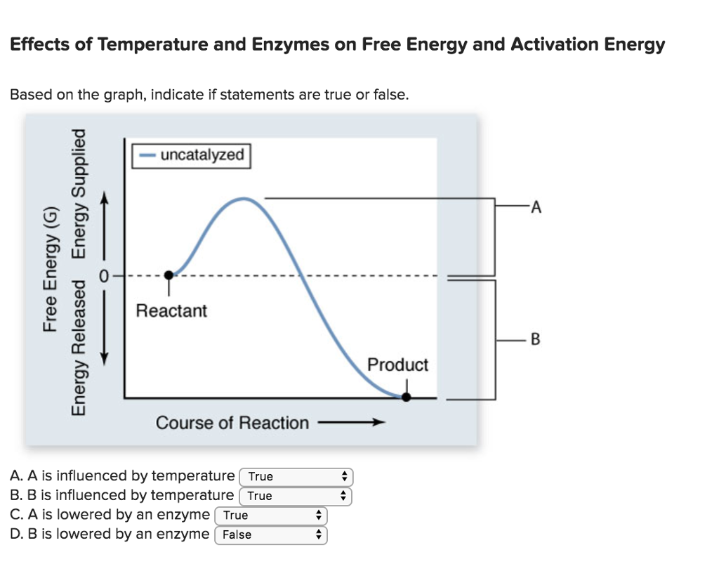 solved-effects-of-temperature-and-enzymes-on-free-energy-and-chegg