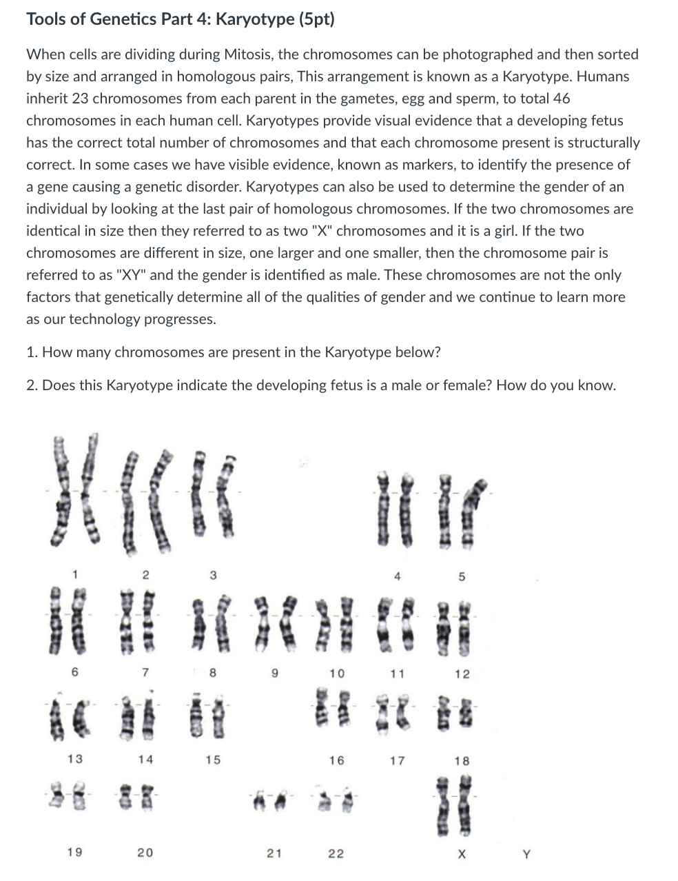 Dna Profiling Gizmo Answers Quizlet Dnaprofilingse Completed Docx Name Date Student Exploration Dna Profiling Vocabulary Dna Polymerase Dna Profiling Gel Electrophoresis Gene Mutation Course Hero